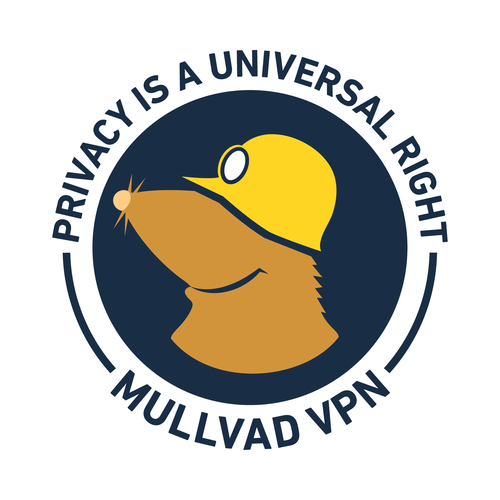 Mullvad VPN logo with mole mascot and "Privacy is a universal right" slogan for anonymous browsing
