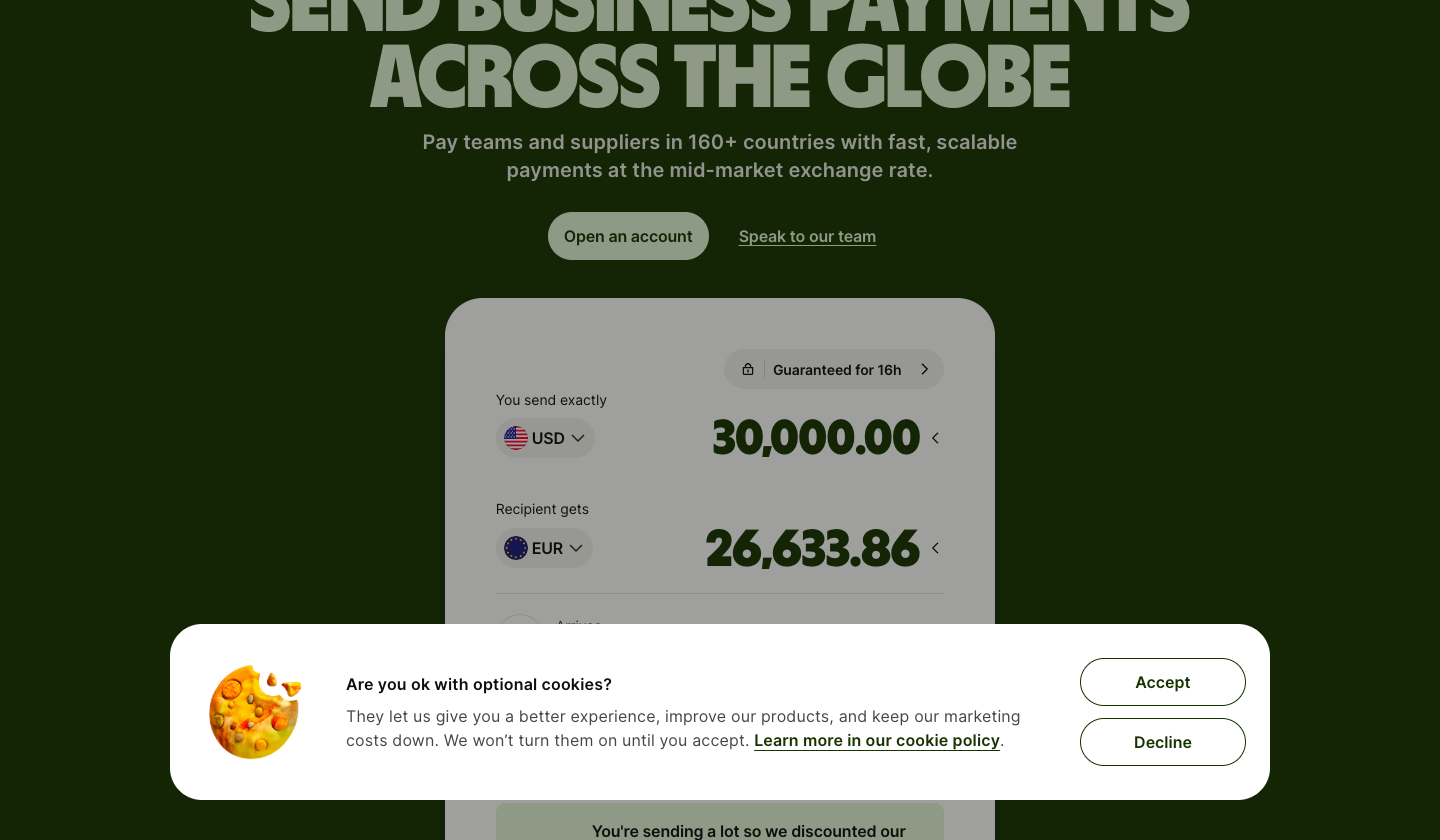 Wise Business official business international payments page showing batch supplier payout tools