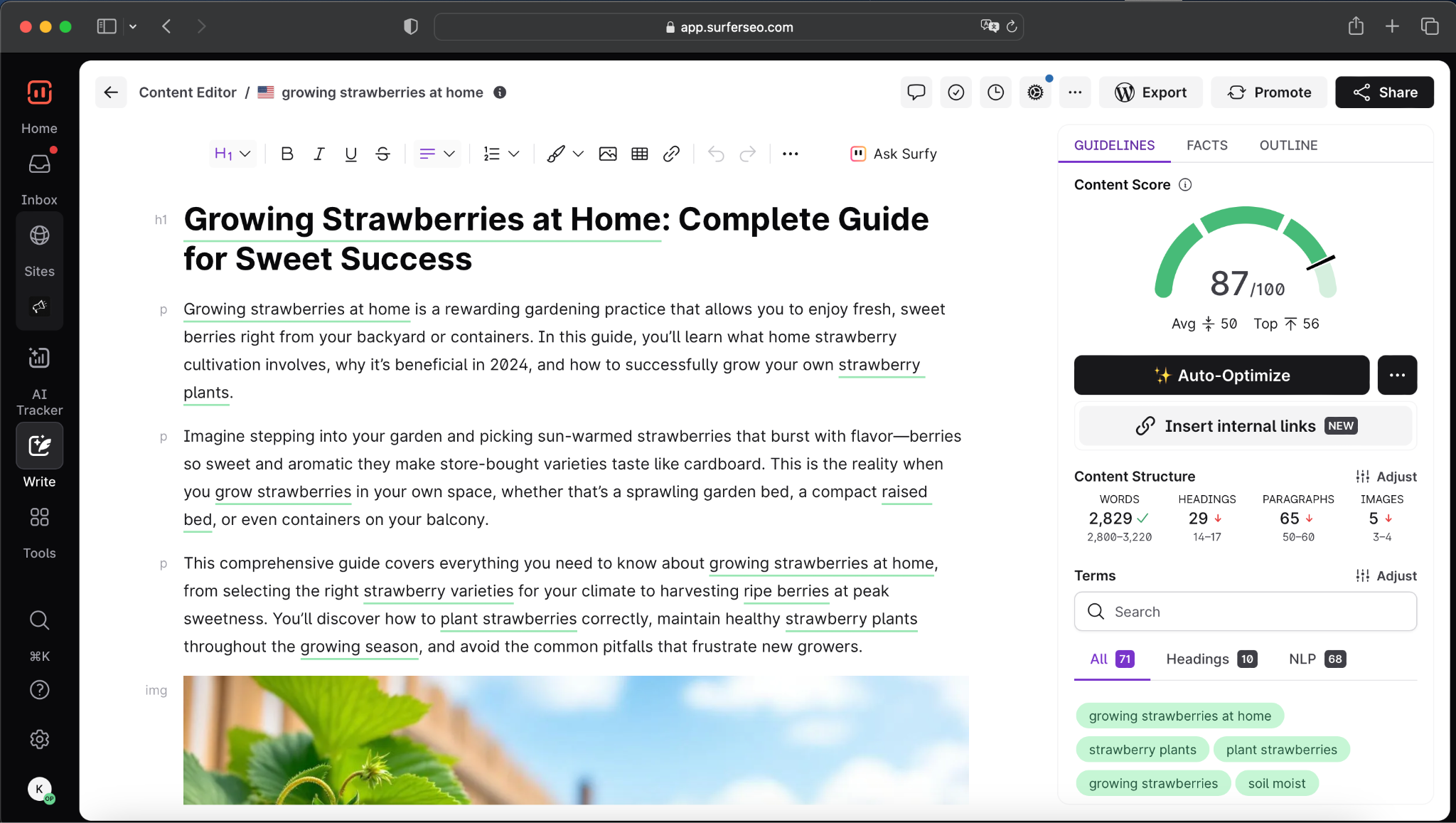 Official Surfer SEO Content Editor screen showing its web-based writing interface (vendor screenshot)